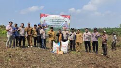 Dukung Ketahanan Pangan di Serang, Polsek Petir Tanam Jagung