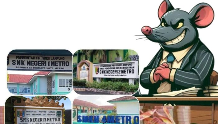 ENAM MATA ANGGARAN BOS SMKN Se-KOTA METRO JANGGAL !!!