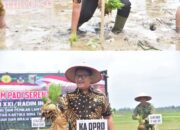 Sinergi Forkopimda Perkuat Ketahanan Pangan, Ketua DPRD Lampung Turun Langsung Tanam Padi di Lampung Timur