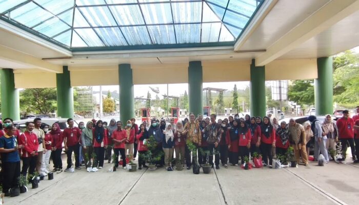 PPPK RSUD Pringsewu Laksanakan Penanaman Pohon Lohansung, Dukung Lingkungan Hijau Berkelanjutan