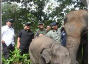 Ketua DPRD Provinsi Lampung Hadiri Gerakan Bersatu dengan Alam di Way Kambas, Tegaskan Komitmen Pelestarian Lingkungan