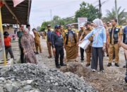Pemprov Percepat Penanganan Jalan, Wagub Tinjau Langsung Perbaikan Ruas Pringsewu–Pardasuka