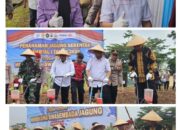 Sinergi Dukung Ketahanan Pangan, DPRD Lampung Ikuti Tanam Raya Jagung Serentak