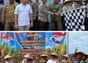 DPRD Provinsi Lampung Dukung Penguatan Ketahanan Pangan Melalui Panen Raya Jagung Serentak
