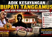 Adik Kesayangan Bupati Tanggamus Bebas Atur Permainan di Pemkab Tanggamus