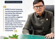 DPRD Lampung Dorong Singkong Lebih Bernilai, Petani Lebih Sejahtera
